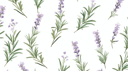 Hand drawn rosemary seamless pattern colored sketch