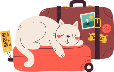 Cat Lying On Suitcase