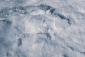 Uneven fluffy snow. Snowy background for publication, poster, calendar, post, screensaver,...