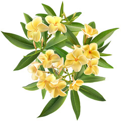 bouquet of yellow flowers