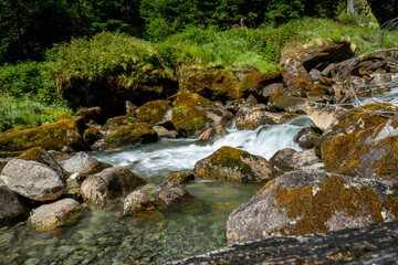 Naklejka premium stream in the forest