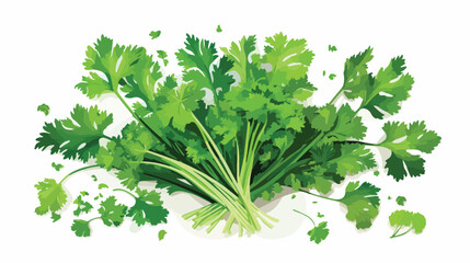 Parsley cooking herb and food spice banner design h