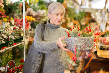 Senior woman choosing christmas decorations in home goods store.