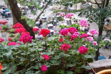 Colorful flowers line the balconies