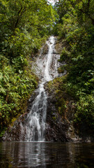 Naklejka premium Serene Waterfall in Lush Forest Setting Captivating Scene for Outdoor Adventure Seekers
