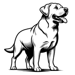 Happy Labrador retriever in full-body, black and white vector sketch isolated on transparent background