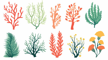 Seaweeds underwater ocean and sea plants engraving