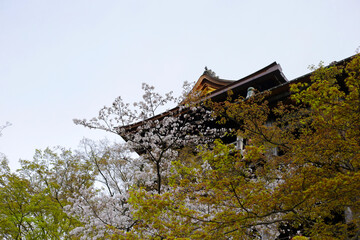 Fototapeta premium Kiyomizu-dera temple in Kyoto, Japan