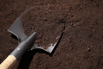 Metal shovel on fertile soil, space for text. Gardening tool