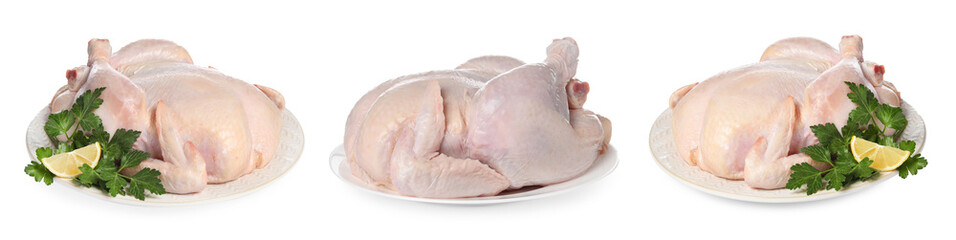 Set of whole raw chicken isolated on white, different sides