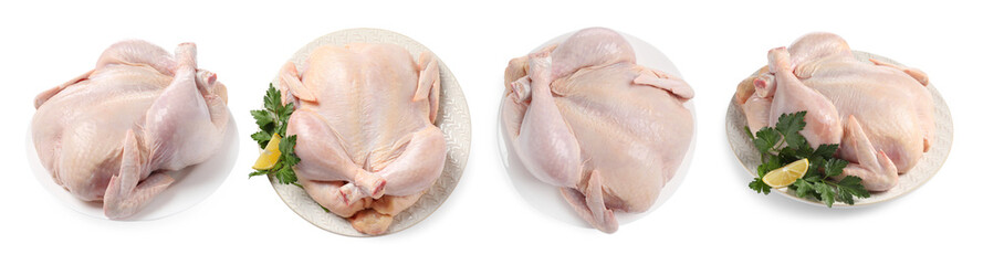 Whole raw chicken isolated on white, set