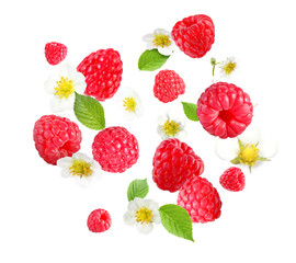 Ripe raspberries and flowers in air on white background