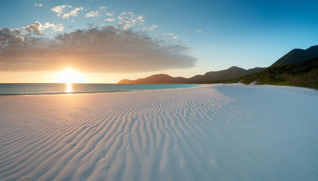 playa virgen con palmeras