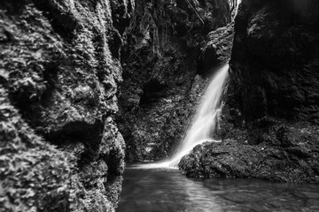 A black and white long exposure waterfall in the middle of the New Zealand bush