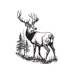 White Deer Wonder vector