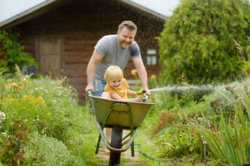 Happy little boy having fun in a wheelbarrow pushing by dad in domestic garden on warm sunny day. Child watering plants from a hose. Active outdoors games for kids in summer.