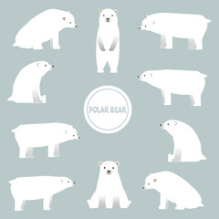 いろんなポーズのシロクマのイラストセット背景グレー