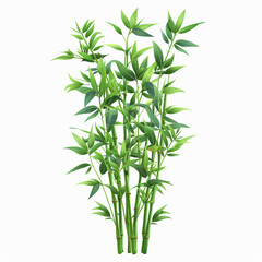 watercolor illustration of bamboo plant, green color on white background with copy space for text