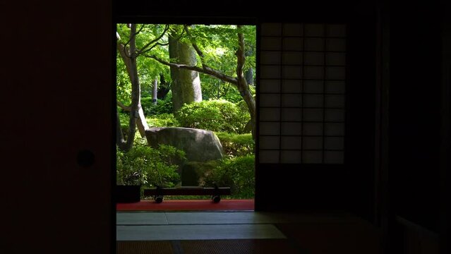 Stunning reveal of typical Japanese tatami room with bright green landscape garden