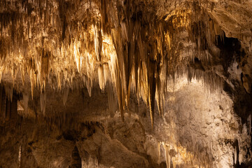 Rock formations in Carlsbad Caverns National Park, New Mexico

