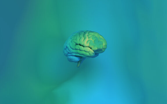 Brain, Anatomy, Medical Illustration, Gradient, Pastel Colors
creative Brain, Abstract Brain, Mind, Cognition, Mental Health, Neuroscience, Science on a Gradient background