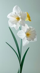 A daffodil flower with two blooms, simple background, white and green color palette, paper sculpture.