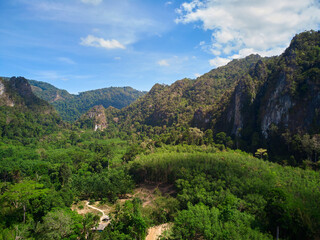 Green forest in the mountain against blue sky