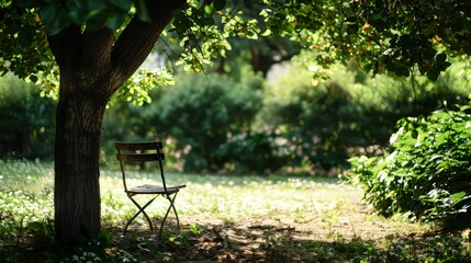 Children Playing: Kids running and playing games in a sunny park with vibrant green trees and a clear blue sky.