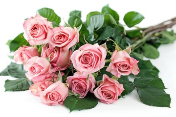 a bouquet pink roses flower and green leaves on white background
