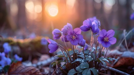 Captivating photo of a wild spring plant with purple flowers