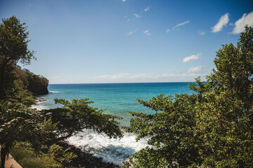 Tropical coast