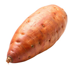 A fresh sweet potato Isolated on transparent background
