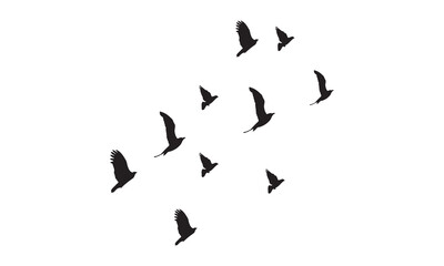 Flying Birds Vector And Illustration. 