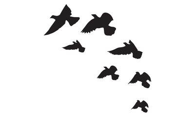 Flying Birds Vector And Illustration. 