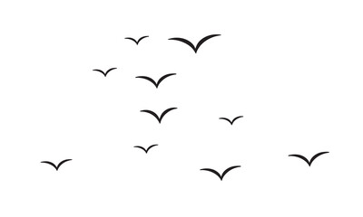 Flying Birds Vector And Illustration. 
