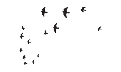 Flying Birds Vector And Illustration. 