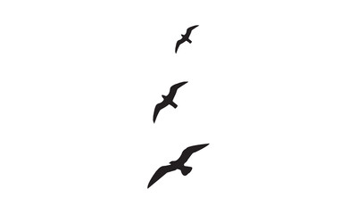 Flying Birds Vector And Illustration. 