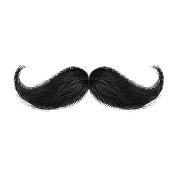 curly moustache as element isolated on white background