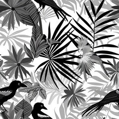 Tropical Birds Among Exotic Black and White Foliage