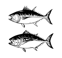 Tuna tunny fish sketch engraving vector illustration. T-shirt apparel print design. Scratch board imitation. Black and white hand drawn image.