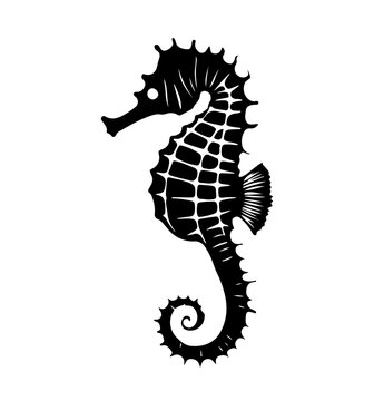 Seahorse silhouettes set, large pack of vector silhouette design, isolated white background