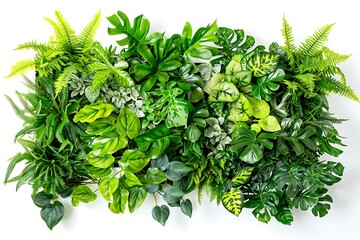 Obraz premium Plant wall panel on white background. Vertical wall planter.
