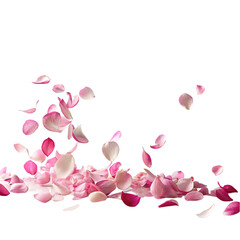 Dance of floating pink petals in the air cut out Isolated on transparent background