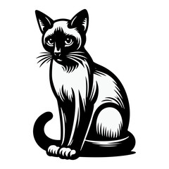black and white cat