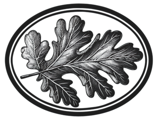 Engraved Oak Leaf Oval Frame Woodcut Style Bold Lines on Transparent Background