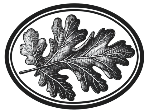 Engraved Oak Leaf Oval Frame Woodcut Style Bold Lines on Transparent Background