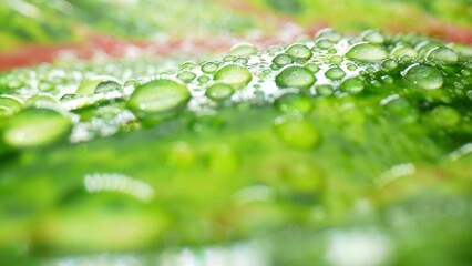 Awe-inspiring macro reveals the exquisite world of water drops on glistening, dew-kissed green red...