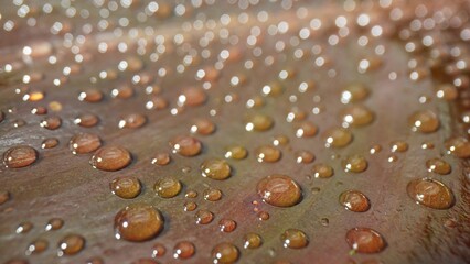 Glistening water droplets gracefully adorn soaked brown leaves, captured in mesmerizing macro...