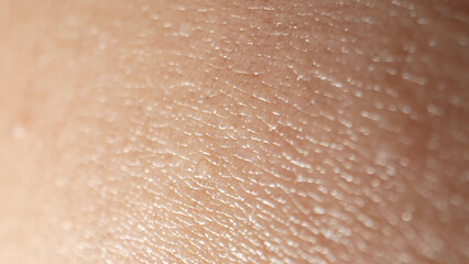 A mesmerizing dance of textures unfolds as the camera dives into the arm's skin, unveiling a delicate tapestry of pores, creases, and tiny imperfections. 
