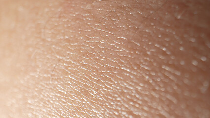 Fototapeta premium A close-up view unveils the arm's skin as a complex tapestry of pores, follicles, and micro-ridges, a testament to the body's intricate design. 